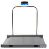 Brecknell DS1000 Floor Scale System 816965004645